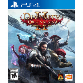 Divinity. Original Sin II - Definitive Edition [PS4, русские субтитры]