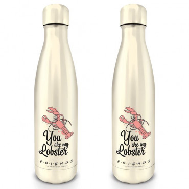 Фляга-термос Friends (You are my Lobster) Metal Drinks Bottle 540ml MDB25499