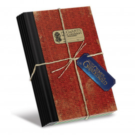 Записная книжка Гарри Поттер Fantastic Beasts  (Hogwarts) Exercise Books SR7277